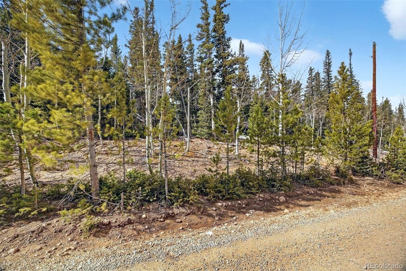 Georgia Pass Lookout Rd, Jefferson, CO 80456