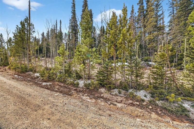 Georgia Pass Lookout Rd, Jefferson, CO 80456
