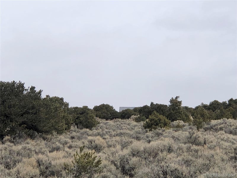 00 Slegers , Fort Garland, CO 81133