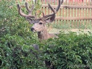 320 Columbine Rd, Palmer Lake, CO 80133