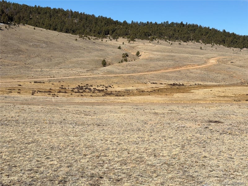 66 Wagon Wheel Rd Lot 011, Hartsel, CO 80449
