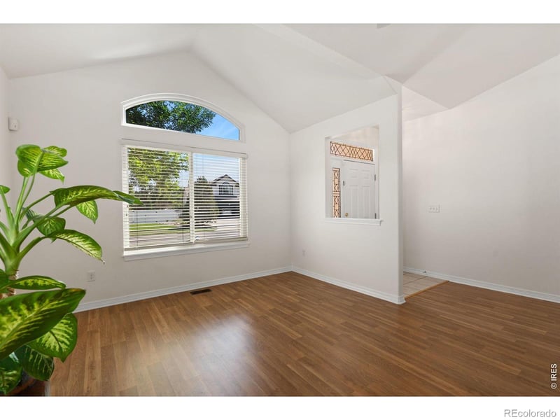 232 Cattail Bay Ct, Windsor, CO 80550