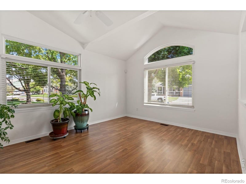 232 Cattail Bay Ct, Windsor, CO 80550