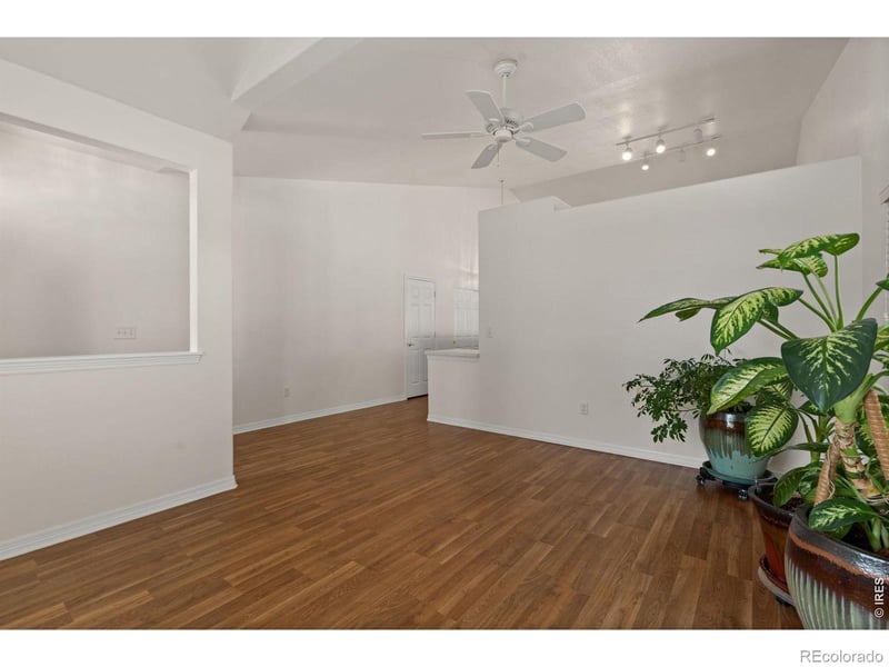 232 Cattail Bay Ct, Windsor, CO 80550