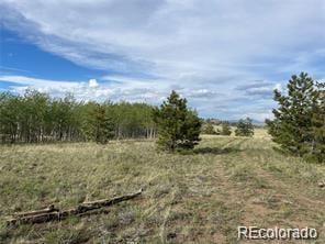 1599 Campfire Rd Lot 707, Hartsel, CO 80449