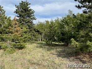 1599 Campfire Rd Lot 707, Hartsel, CO 80449