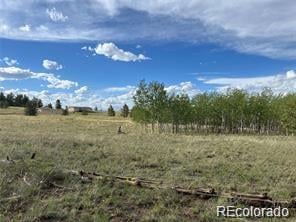 1599 Campfire Rd Lot 707, Hartsel, CO 80449