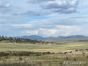1599 Campfire Rd Lot 707, Hartsel, CO 80449