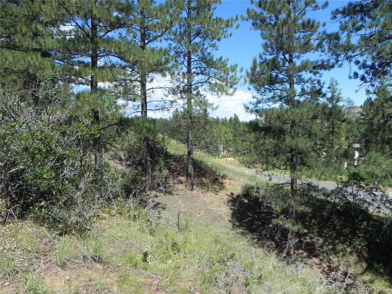 4144 Cheyenne Dr, Larkspur, CO 80118