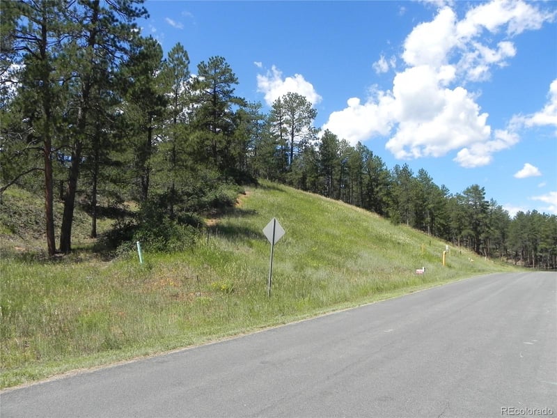 4144 Cheyenne Dr, Larkspur, CO 80118