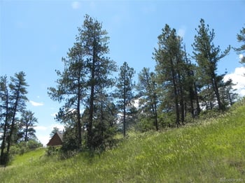 4144 Cheyenne Dr, Larkspur, CO 80118