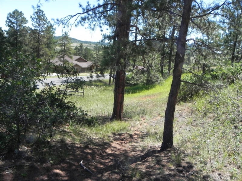 4144 Cheyenne Dr, Larkspur, CO 80118