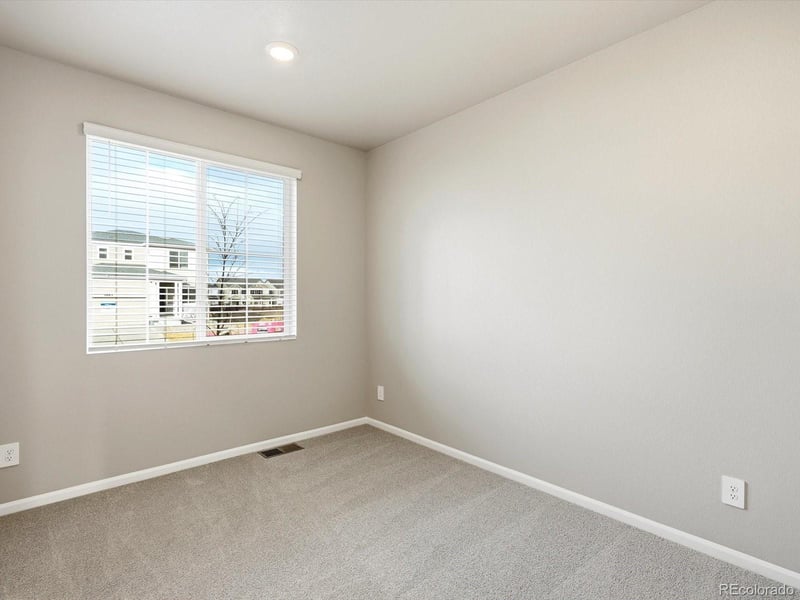 1218 Spring Creek Dr, Windsor, CO 80550