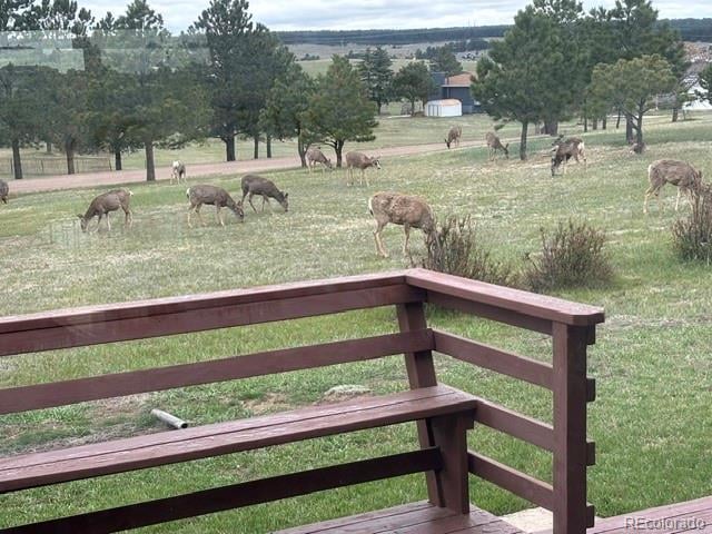 16735 High Tree Dr, Elbert, CO 80106