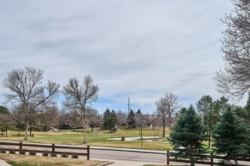 9445 Cheshire Ct, Highlands Ranch, CO 80130