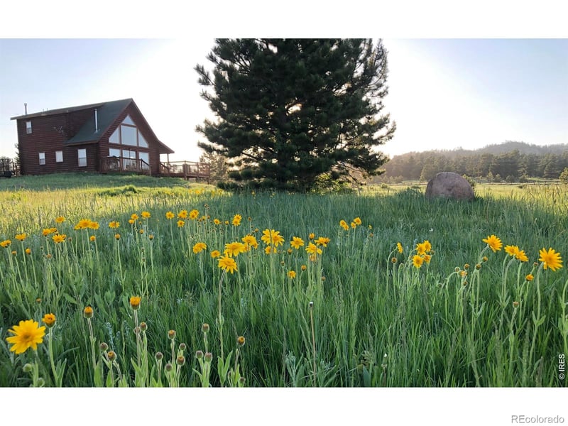 120 Cucharas Mountain Ct, Livermore, CO 80536