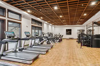 532 Woodroot Cir, Castle Rock, CO 80104