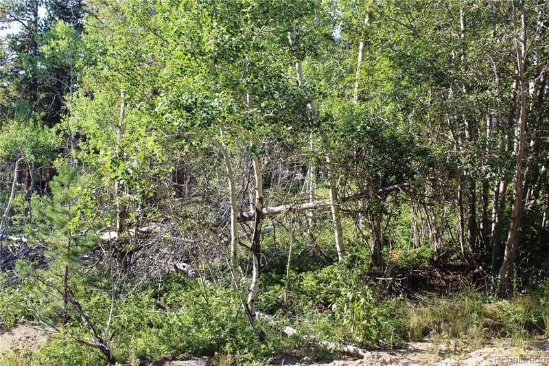 Lot 028 Sunflower Ln Lot 28, Black Hawk, CO 80422