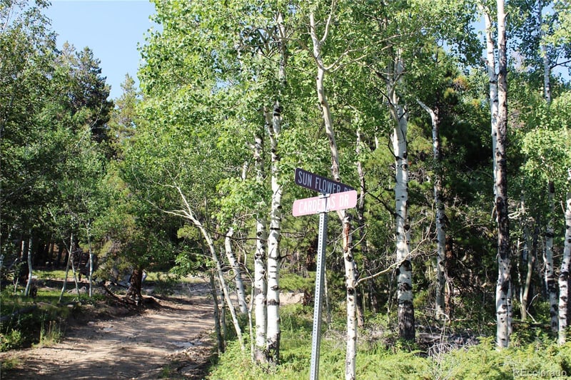 Lot 028 Sunflower Ln Lot 28, Black Hawk, CO 80422