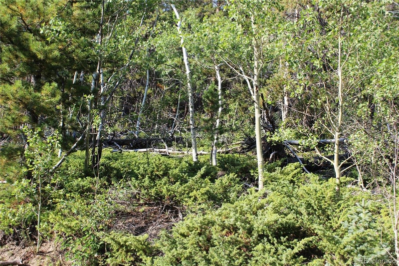 Lot 028 Sunflower Ln Lot 28, Black Hawk, CO 80422