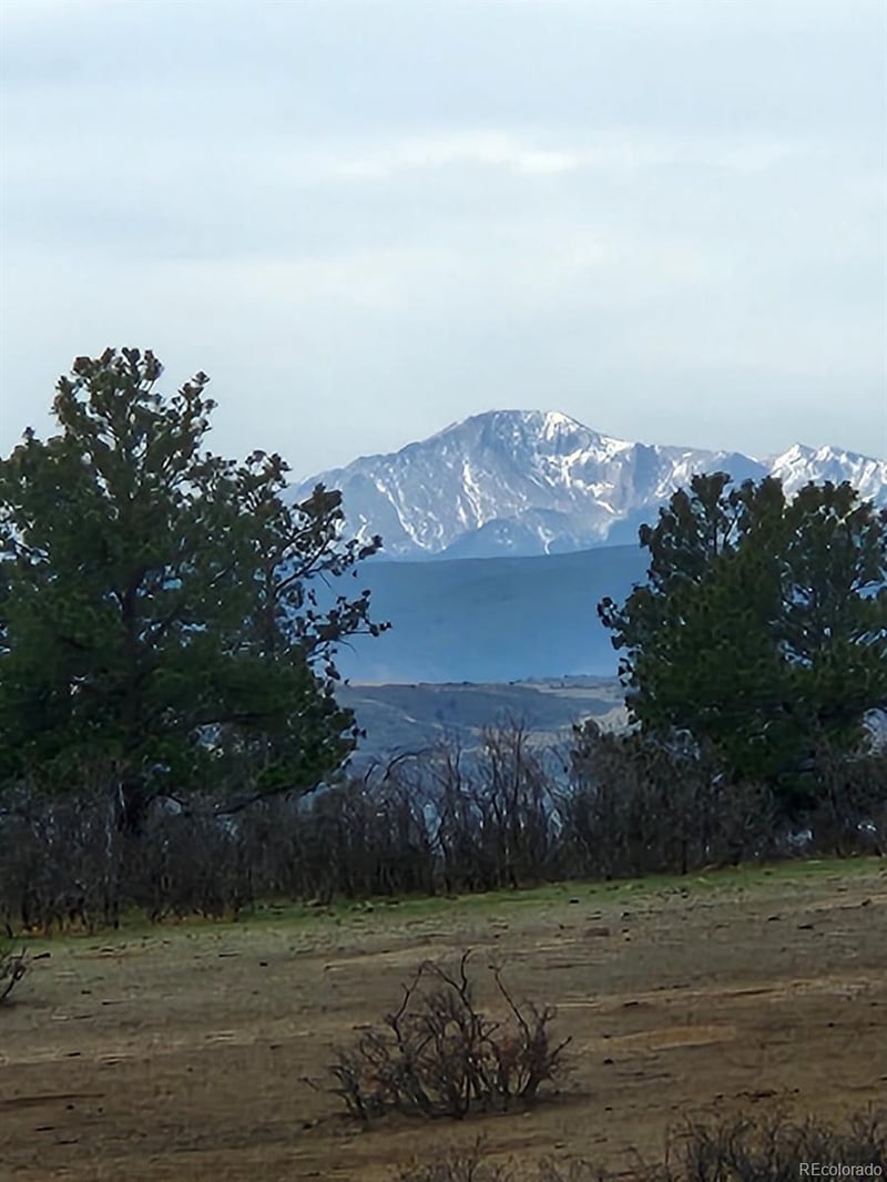 164 Rockingham Cir, Castle Pines, CO 80108