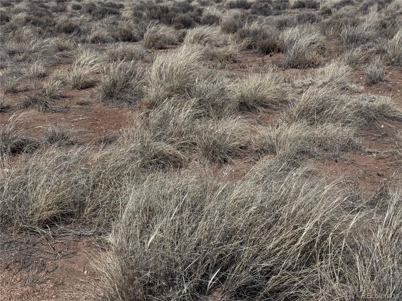 lot 10 Third St, Blanca, CO 81123