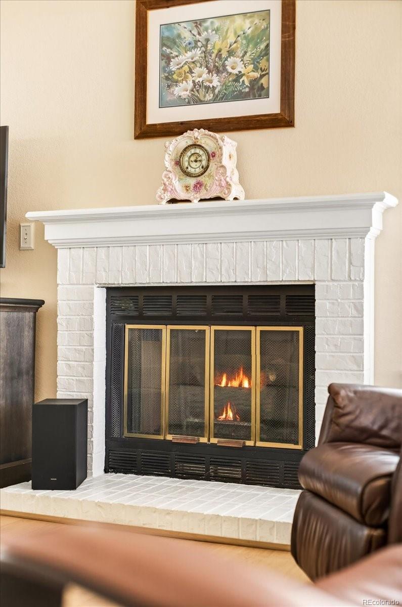 20 Shetland Ct, Highlands Ranch, CO 80130