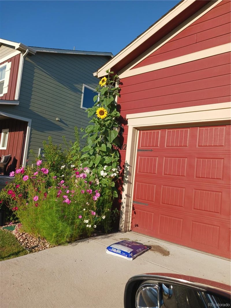 7002 Shavano Cir, Frederick, CO 80504