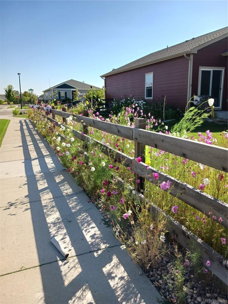 7002 Shavano Cir, Frederick, CO 80504