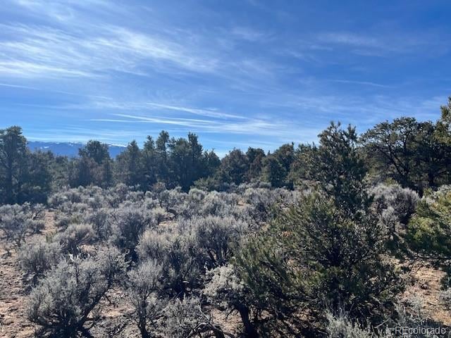 Lot 3 Ravenwood Ln, San Luis, CO 81152