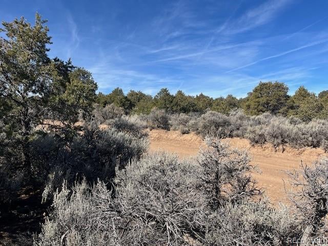 Lot 3 Ravenwood Ln, San Luis, CO 81152