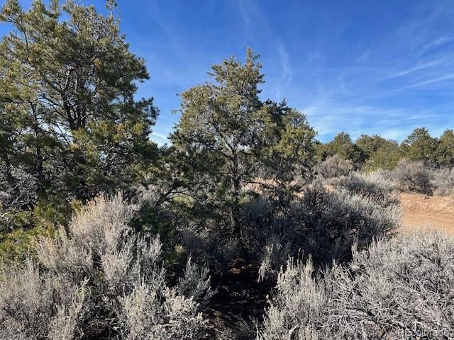Lot 3 Ravenwood Ln, San Luis, CO 81152