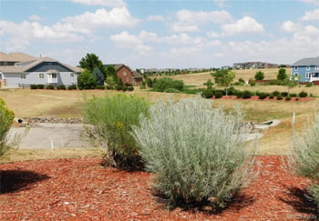 10473 Rutledge St, Parker, CO 80134