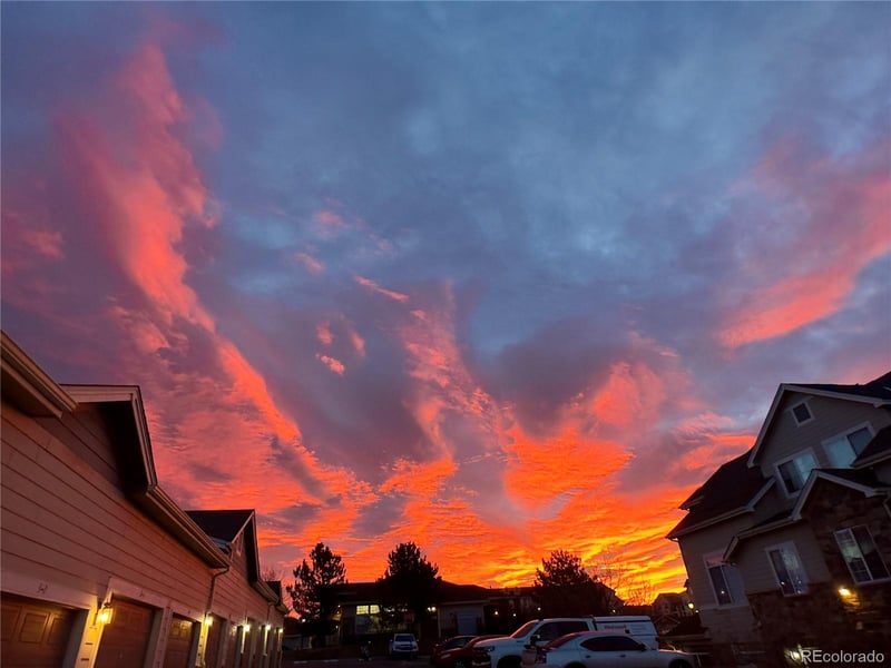479 Black Feather Loop #319, Castle Rock, CO 80104