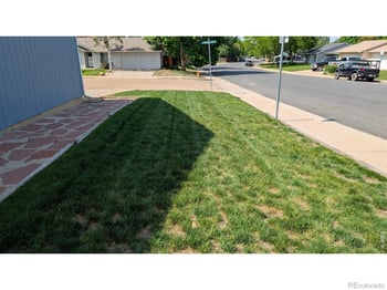 1786 Wintergreen Pl, Loveland, CO 80537