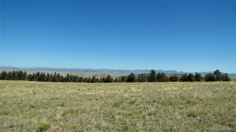 1198 Wagon Wheel Rd, Hartsel, CO 80449
