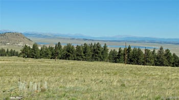 1198 Wagon Wheel Rd, Hartsel, CO 80449