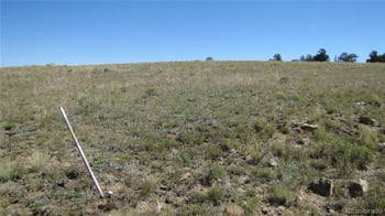 1198 Wagon Wheel Rd, Hartsel, CO 80449