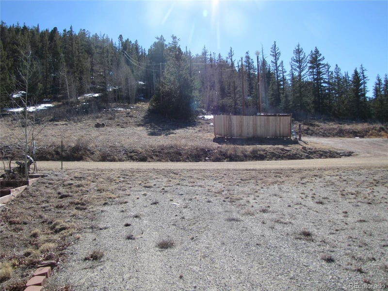 125 Tressel Trl, Hartsel, CO 80449