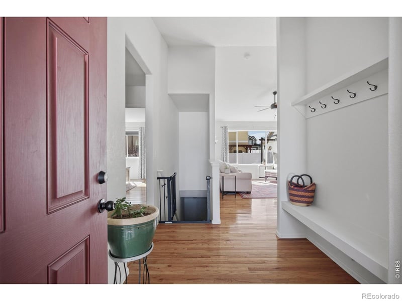 807 Saiga Dr, Severance, CO 80550