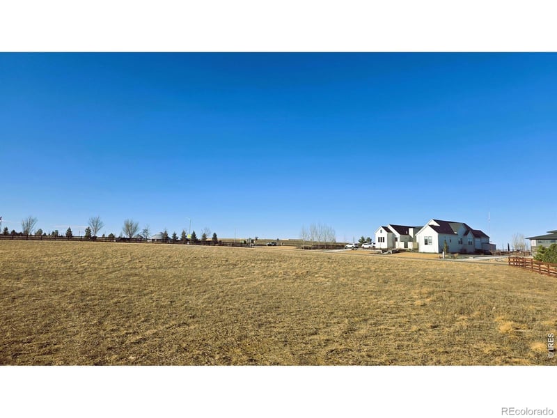 1508 Flowering Tree Ct, Windsor, CO 80550