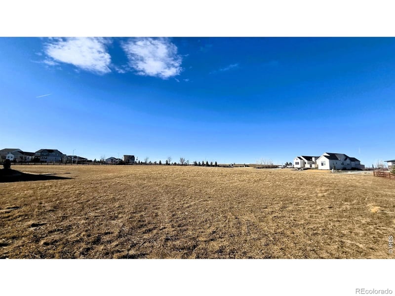 1508 Flowering Tree Ct, Windsor, CO 80550