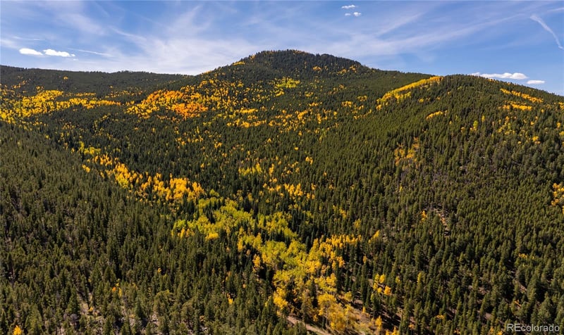 002 Seldon Seen Rd, Golden, CO 80403