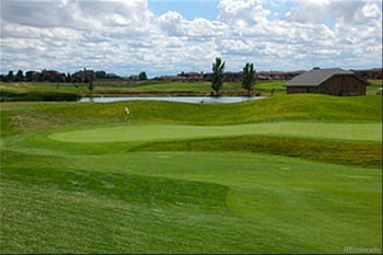 11462 Chambers Dr, Commerce City, CO 80022