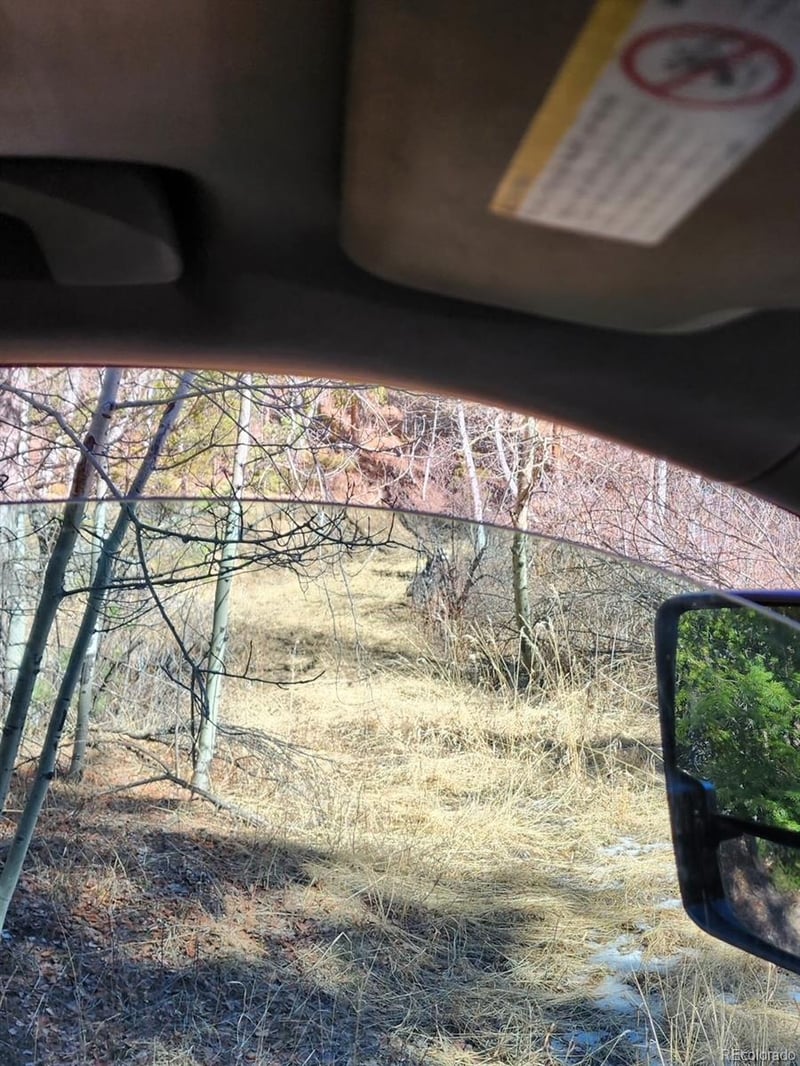 10151 Coronado Cir, Morrison, CO 80465