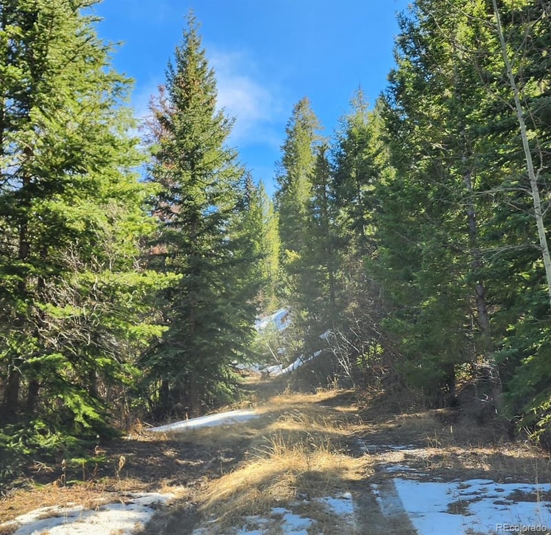 10151 Coronado Cir, Morrison, CO 80465