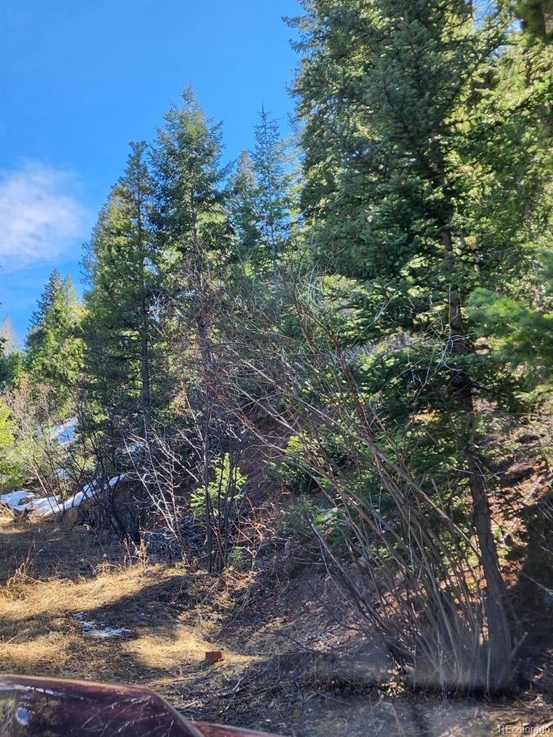 10151 Coronado Cir, Morrison, CO 80465