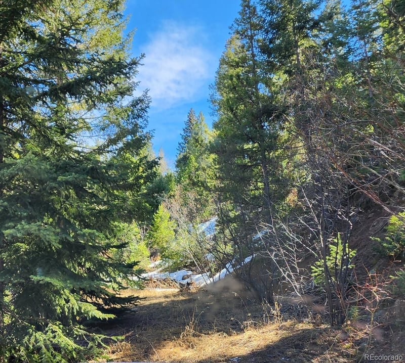 10151 Coronado Cir, Morrison, CO 80465