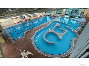 1454 Boyle St, Windsor, CO 80550