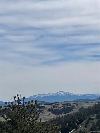 Antelope Rd, Hartsel, CO 80449